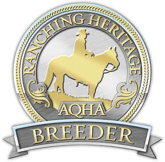 American Quarter Horse Association